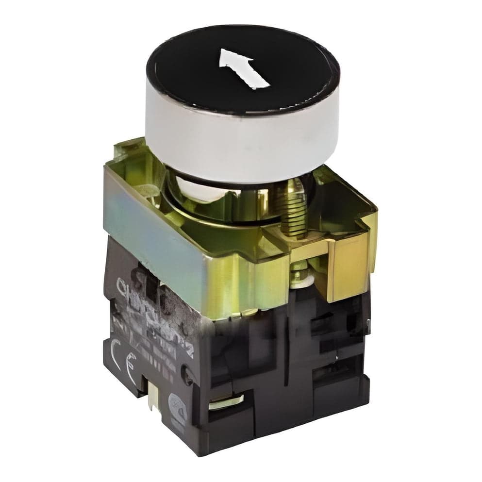 Pulsador CHINT NP2-BA2351 · negro
