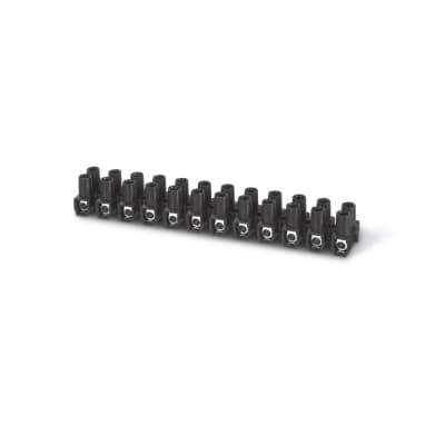 Imagen referencial de la serie: Bornera de regleta SCAME 815.2364 · 16mm² 12 bornes negro
