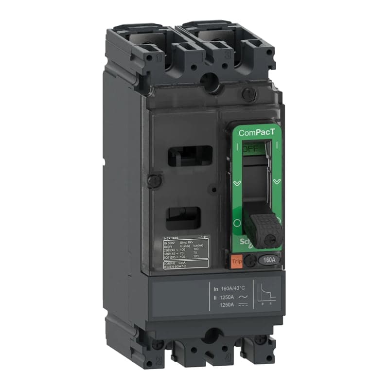 Interruptor automático regulable SCHNEIDER C10F2TM100 · NSX100F 18kA AC-DC 2P 100A TMD