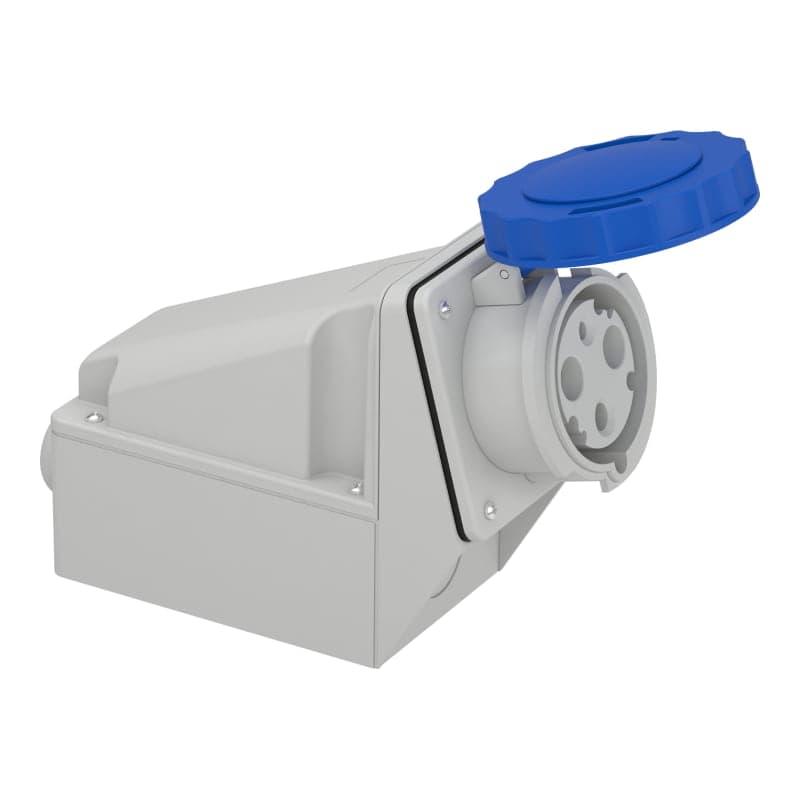 Tomacorriente adosar con caja de paso SCHNEIDER 81178 · 2x63A+ tierra 220/250V IP67 azul